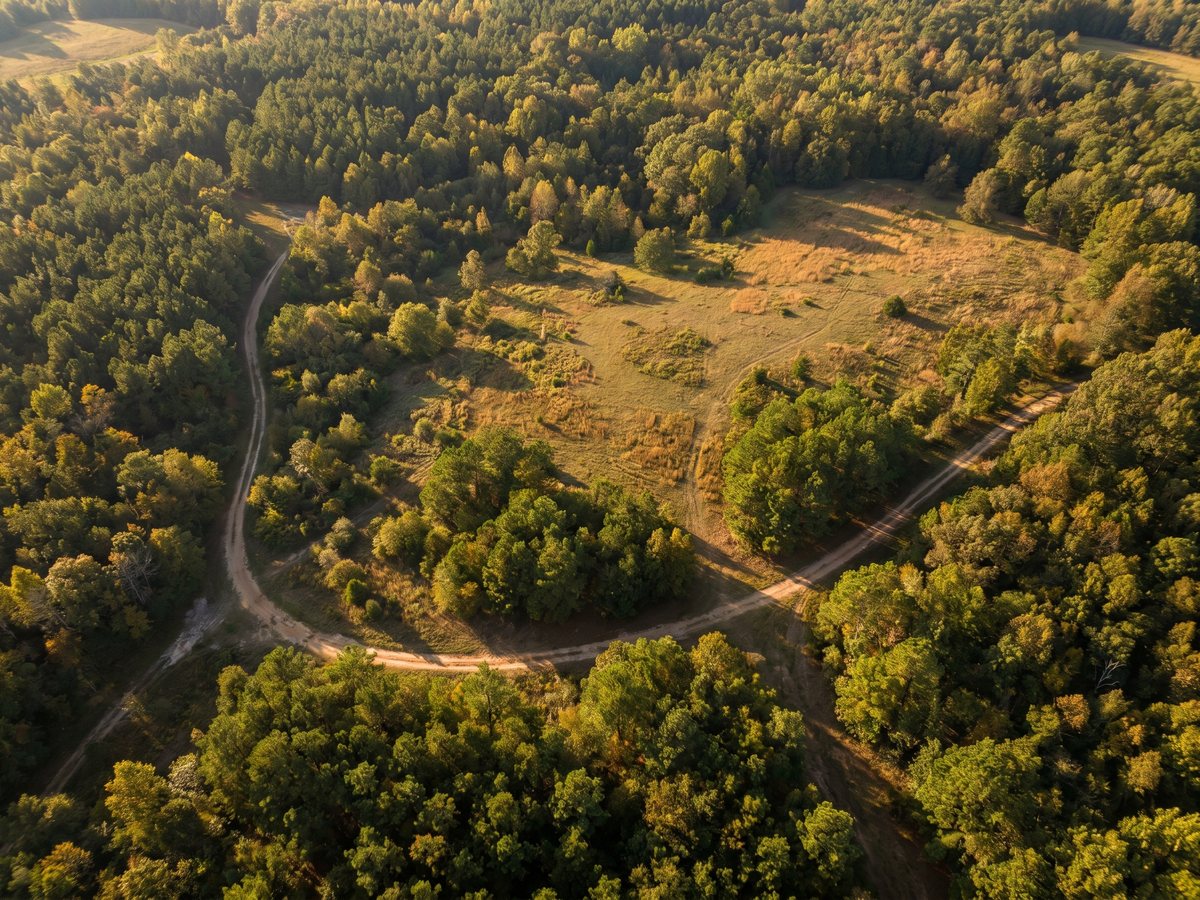 Aerial view of undeveloped wooded land with an open clearing and dirt access road in the NC Triangle region.